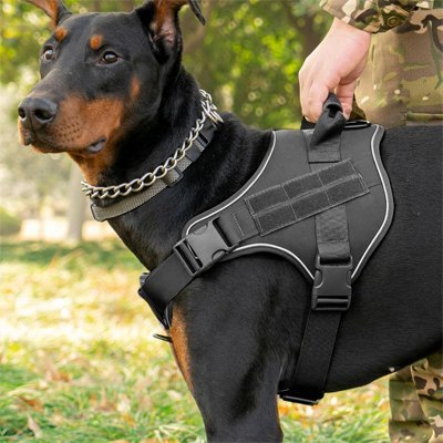 Harnais chien anti - traction | StopTrax™ - Joyeux chien
