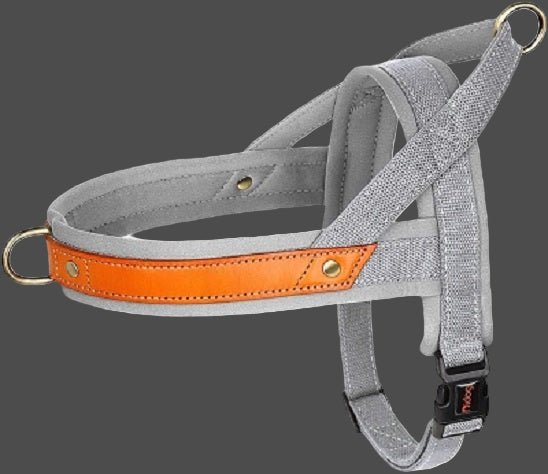 Harnais chien anti traction | StopTrax™ - Joyeux chien