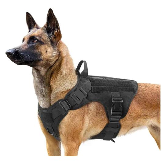 Harnais Chien Anti Traction | Tactik™ - Joyeux chien