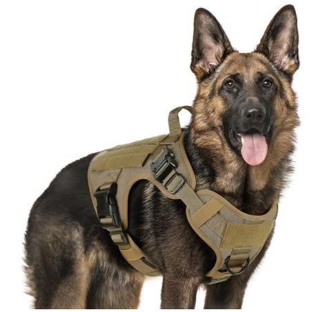 Harnais Chien Anti Traction | Tactik™ - Joyeux chien