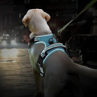 Harnais chien | Calmi™ - Joyeux chien