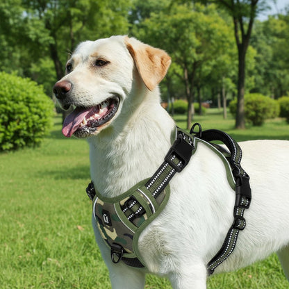 Harnais chien | Calmi™ - Joyeux chien