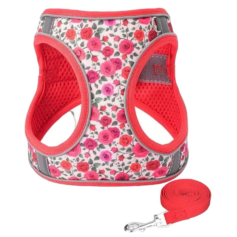 Harnais petit chien | MiniPaws™ - Joyeux chien