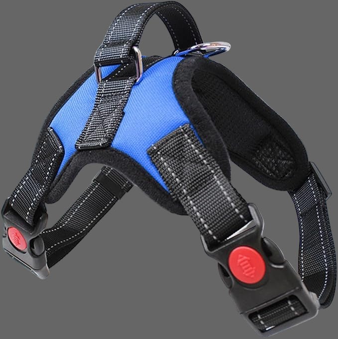 Harnais pour chien Anti - traction | ORFÉO - Joyeux chien