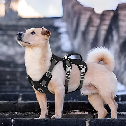 Harnais pour chien | Linéa™ - Joyeux chien