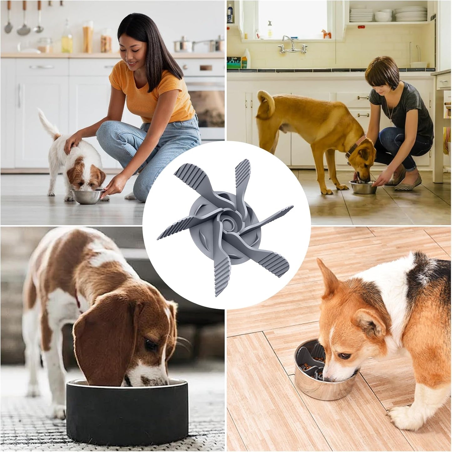 Insert de gamelle anti glouton chien | Digestion optimale - Joyeux chien