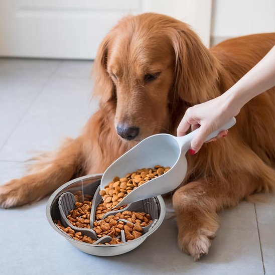 Insert de gamelle anti glouton chien | Digestion optimale - Joyeux chien