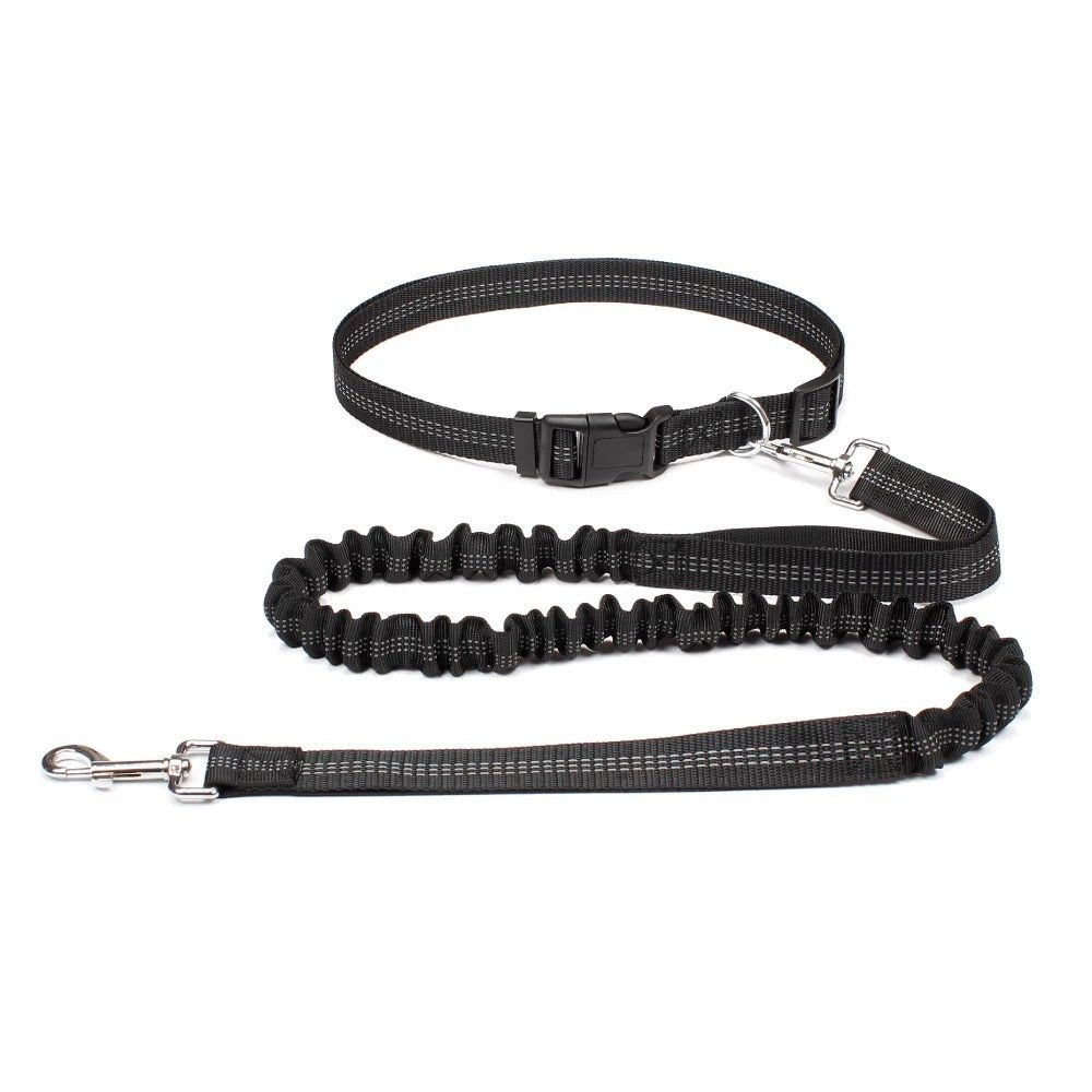 Laisse Canicross Extensible Main Libre - Joyeux chien