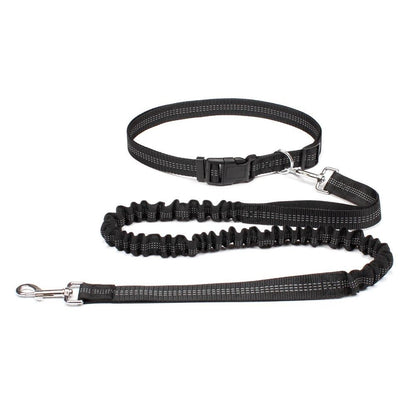 Laisse Canicross Extensible Main Libre - Joyeux chien