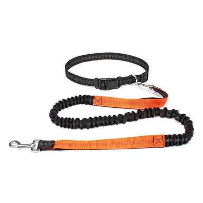 Laisse Canicross Extensible Main Libre - Joyeux chien
