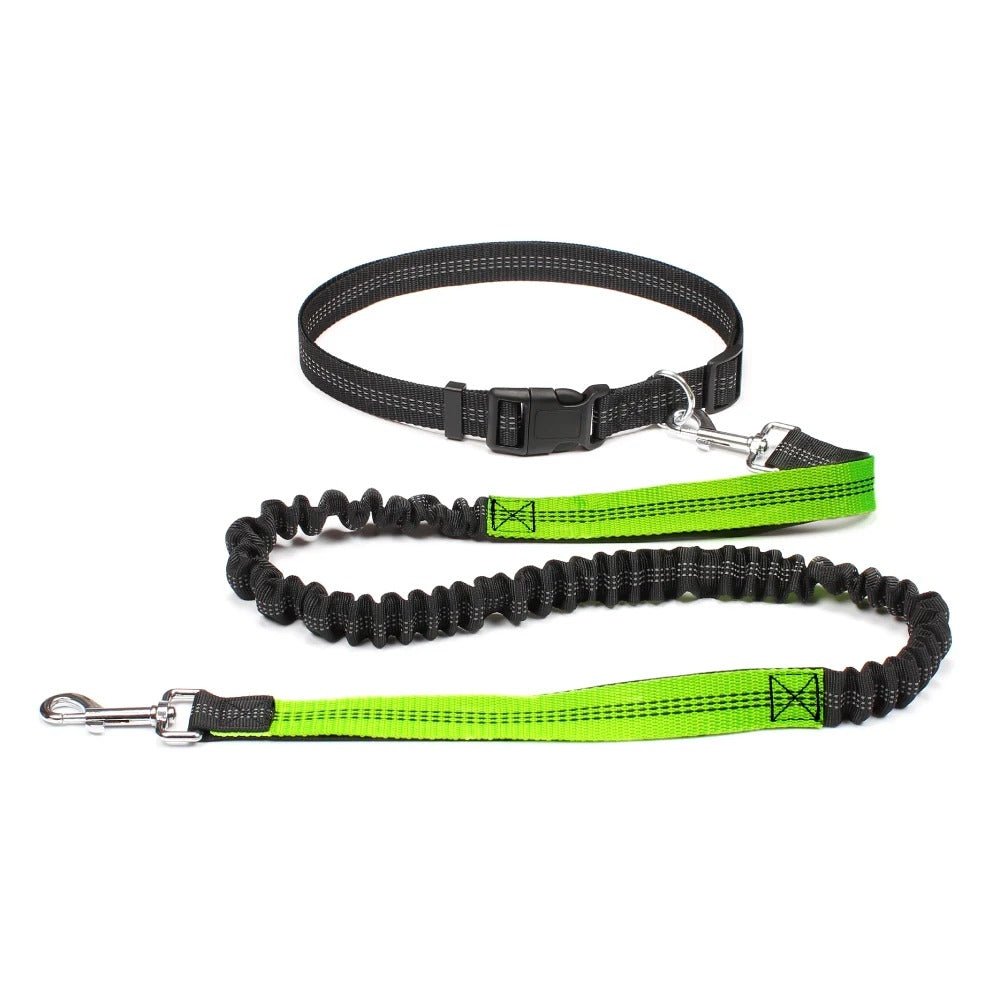 Laisse Canicross Extensible Main Libre - Joyeux chien
