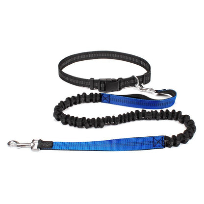 Laisse Canicross Extensible Main Libre - Joyeux chien