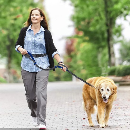 Laisse canicross | SwagDog™ - Joyeux chien