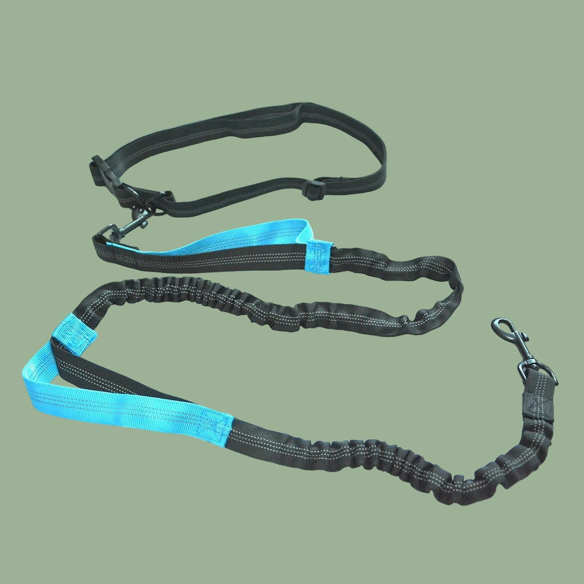 Laisse chien | AltiPaw™ - Joyeux chien