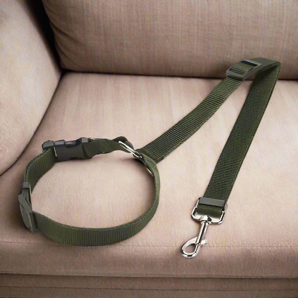 Laisse chien de voiture - Joyeux chien