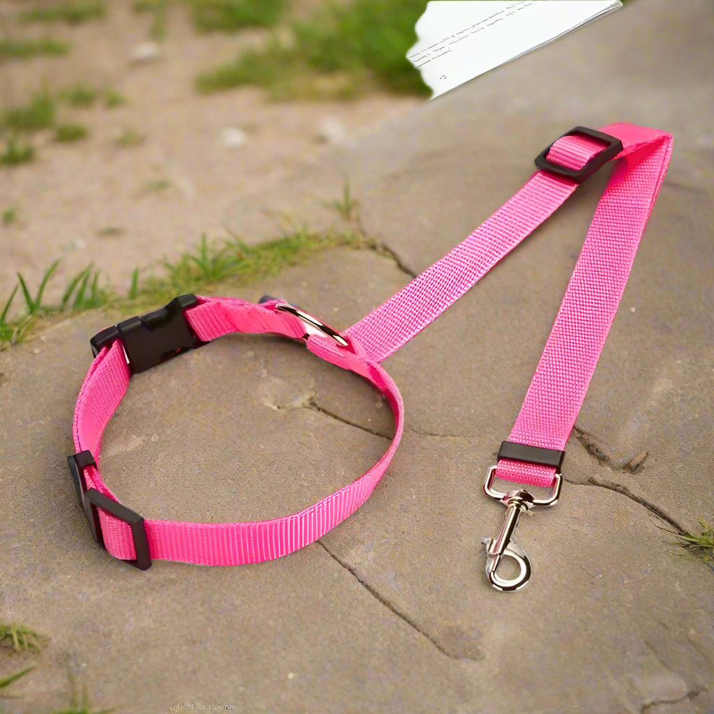 Laisse chien de voiture rose - Joyeux chien