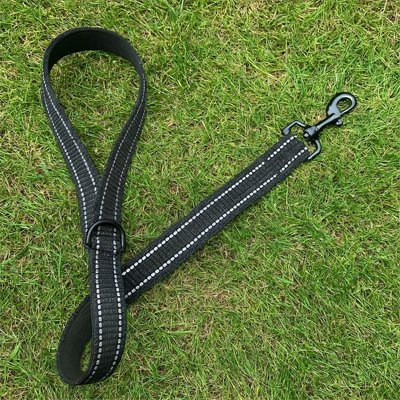 Laisse chien | PawFlex™ - Joyeux chien