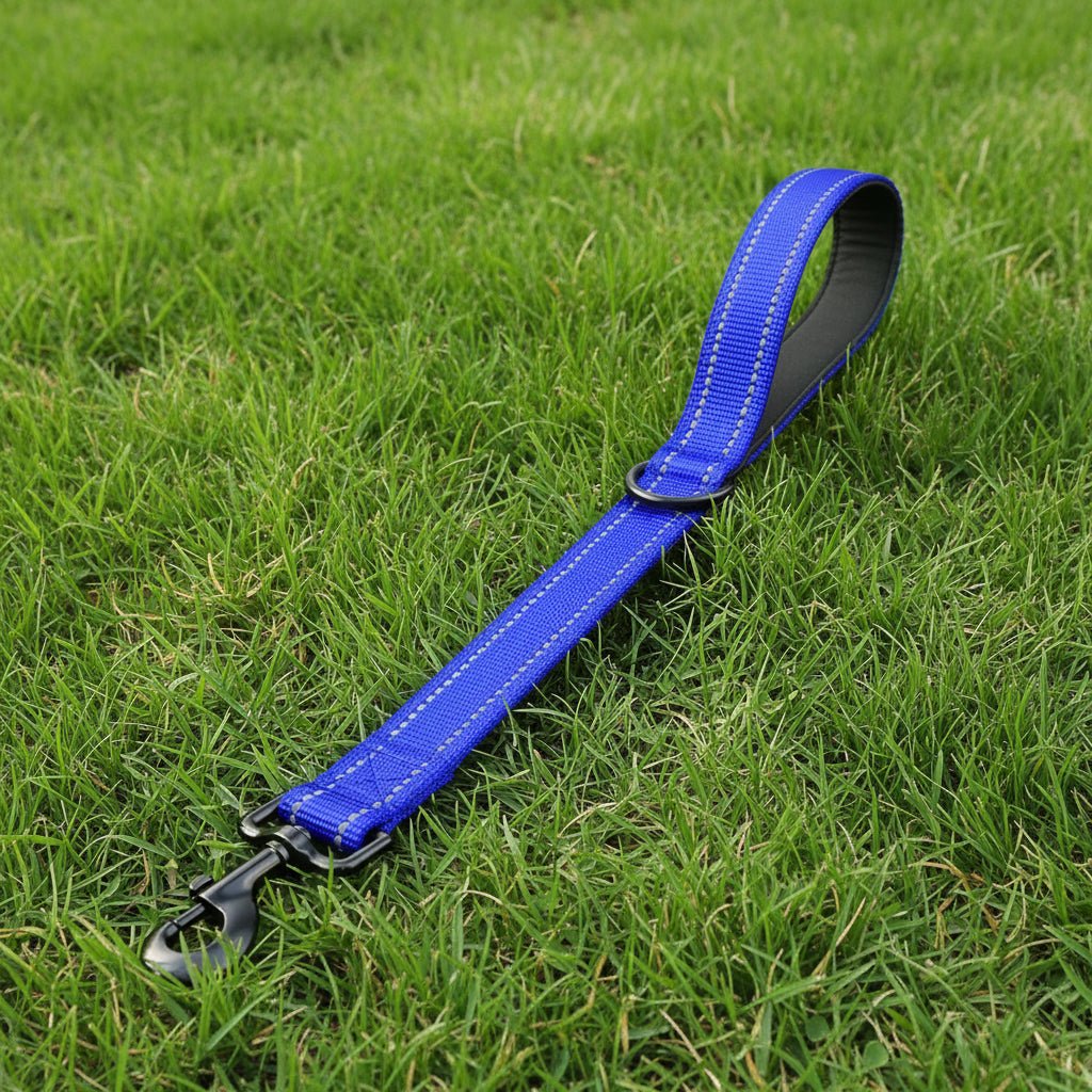 Laisse chien | PawFlex™ - Joyeux chien