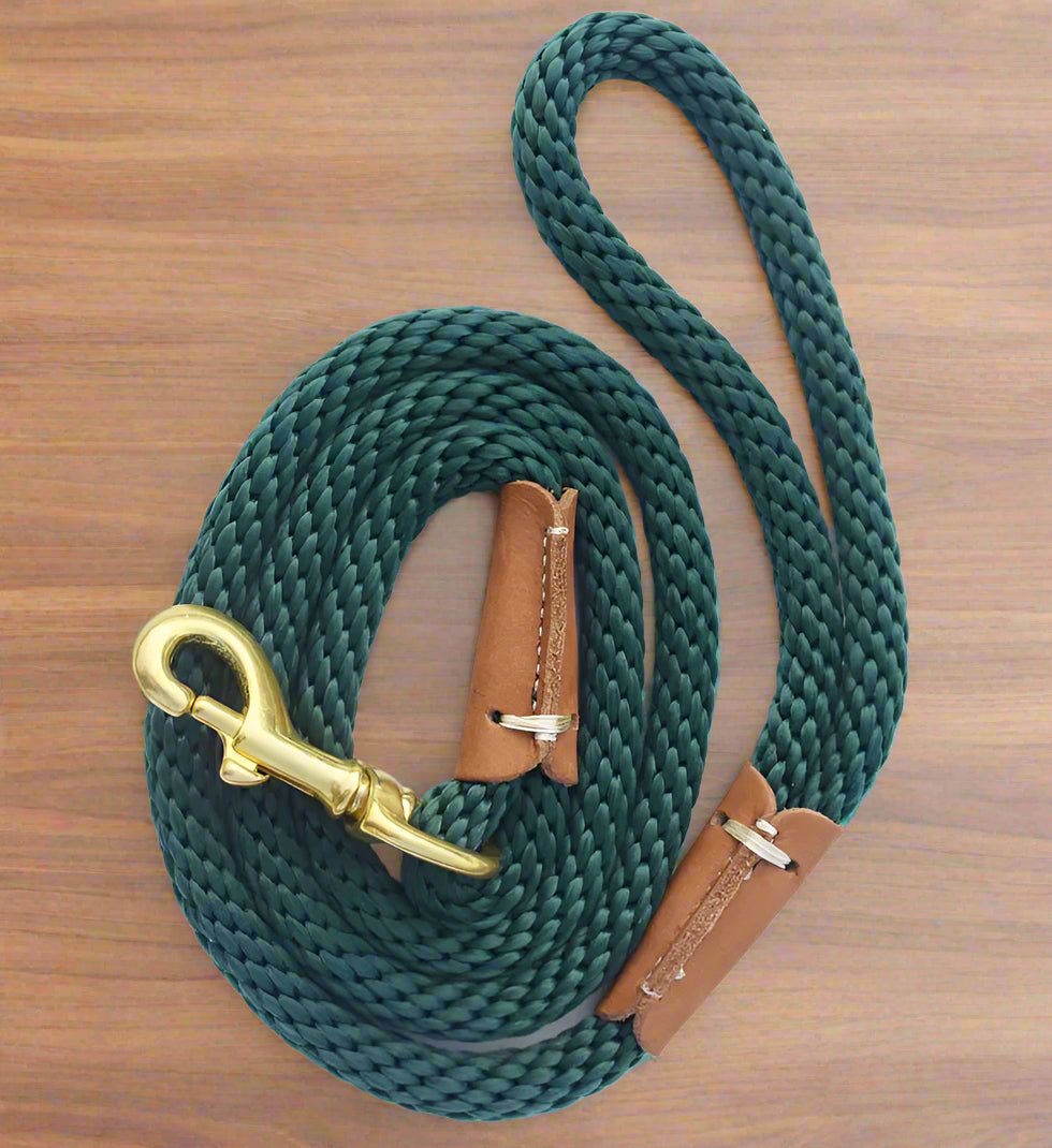 Laisse chien - Petrix™ - Joyeux chien