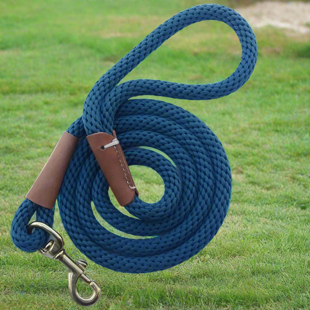 Laisse chien - Petrix™ - Joyeux chien