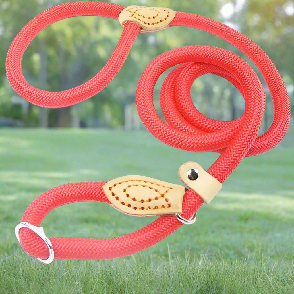 Laisse chien | Top pet™ - Joyeux chien