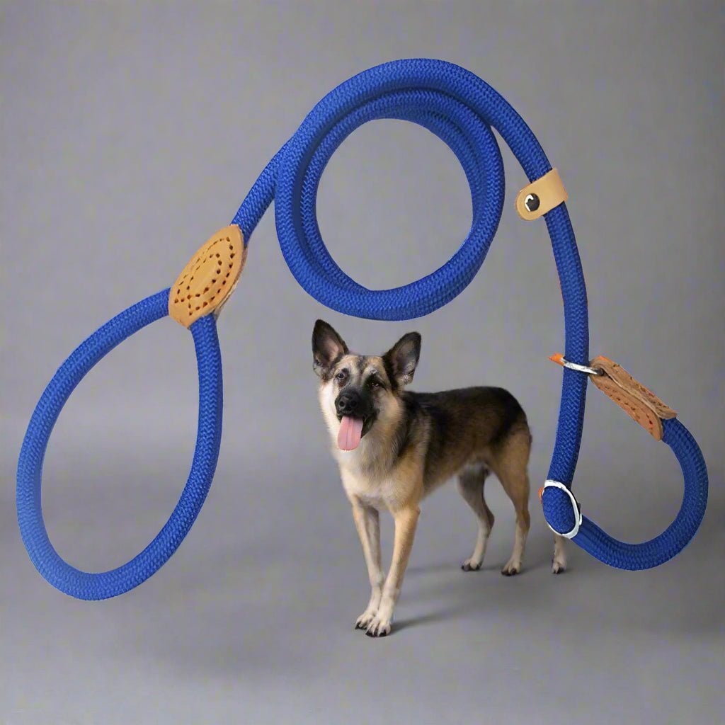 Laisse chien | Top pet™ - Joyeux chien