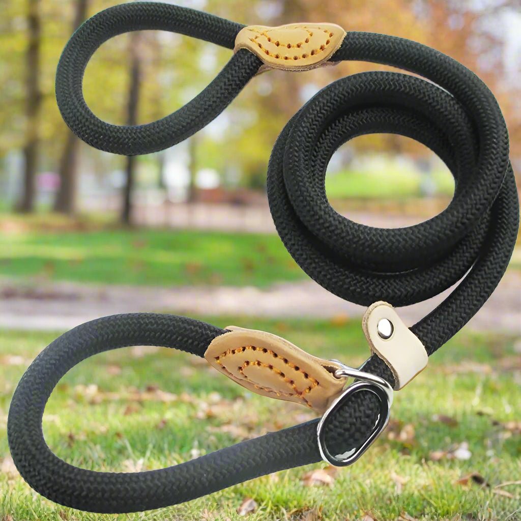 Laisse chien | Top pet™ - Joyeux chien