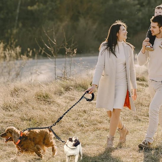 Laisse double pour chien - DuoNoble ™ - Joyeux chien