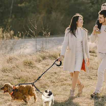 Laisse double pour chien - DuoNoble ™ - Joyeux chien