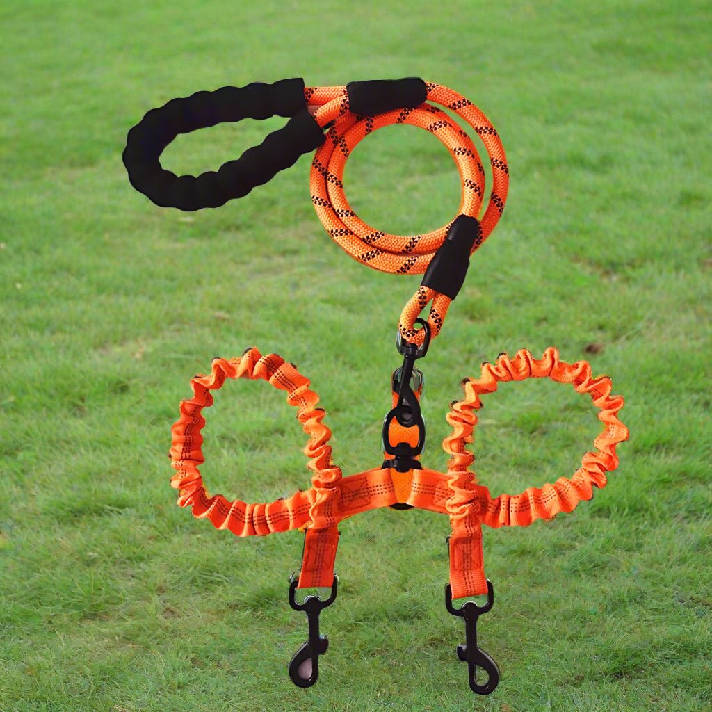 Laisse double pour chien - DuoNoble ™ - Joyeux chien