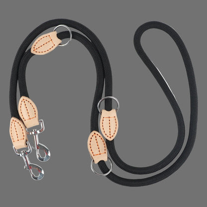 Laisse double pour chien | DuoWalk™ - Joyeux chien