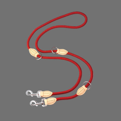 Laisse double pour chien | DuoWalk™ - Joyeux chien