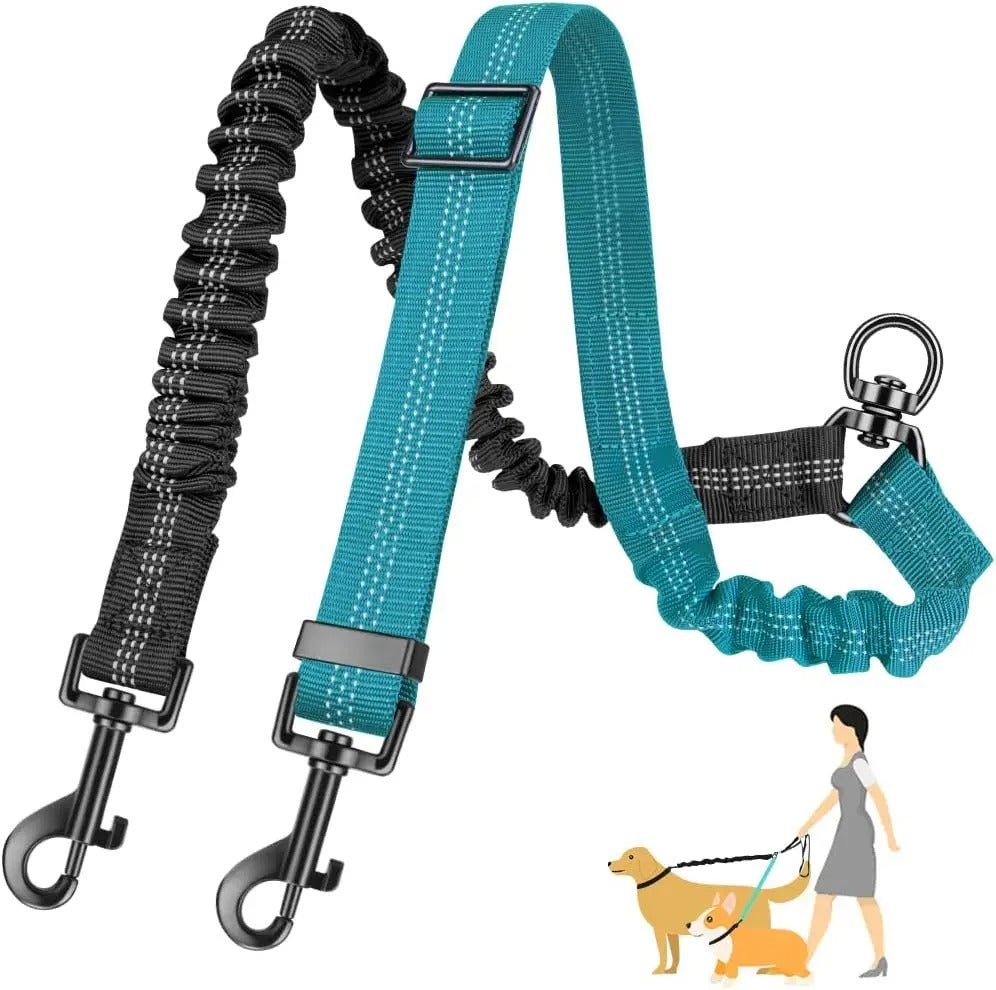 Laisse double pour Chien | TwinWalk™ - Joyeux chien