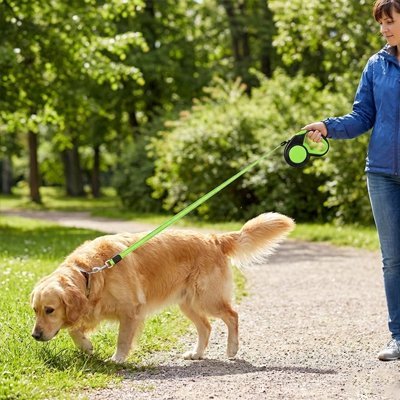 Laisse enrouleur pour chien | FlexiCanis™ - Joyeux chien