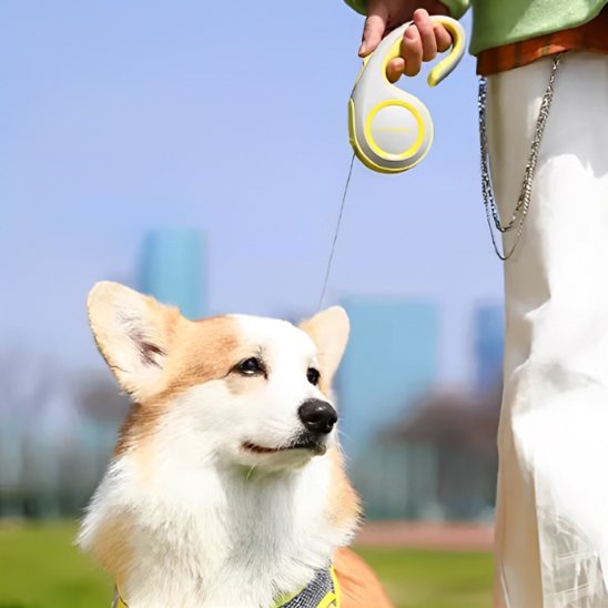 Laisse enrouleur | RollBark™ - Joyeux chien