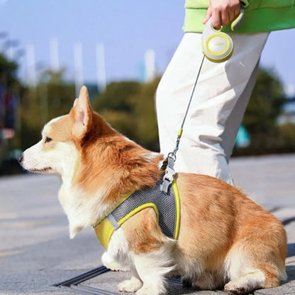 Laisse enrouleur | RollBark™ - Joyeux chien