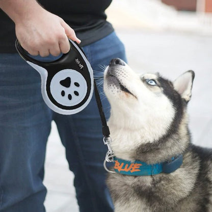 laisse pour chien Petdog calme