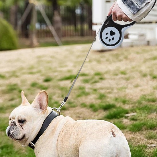 laisse pour chien Petdog variant noir 