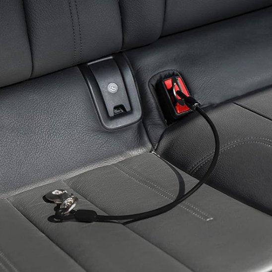 Laisse pour chien | Canilink™ - Joyeux chien