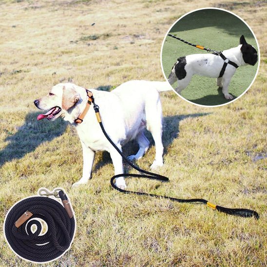 Laisse pour chien en corde | Petrix™ - Joyeux chien