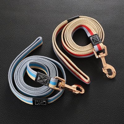 Laisse pour Chien en toile FlexiPaw | Promenades confortables - Joyeux chien