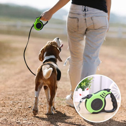 liberte avec laisse pour chien