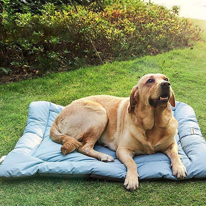 Lit de camp pour chien | RandoPaw™ - Joyeux chien