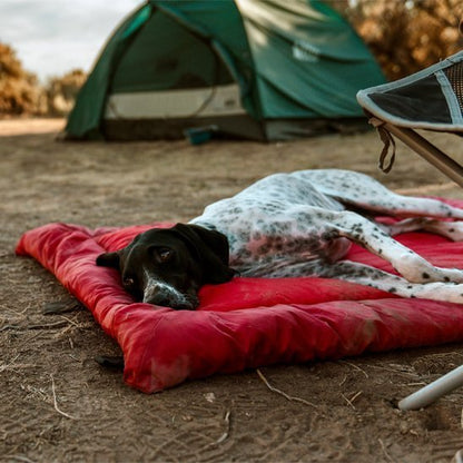 Lit de camp pour chien | RandoPaw™ - Joyeux chien