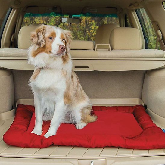 Lit de camp pour chien | RandoPaw™ - Joyeux chien
