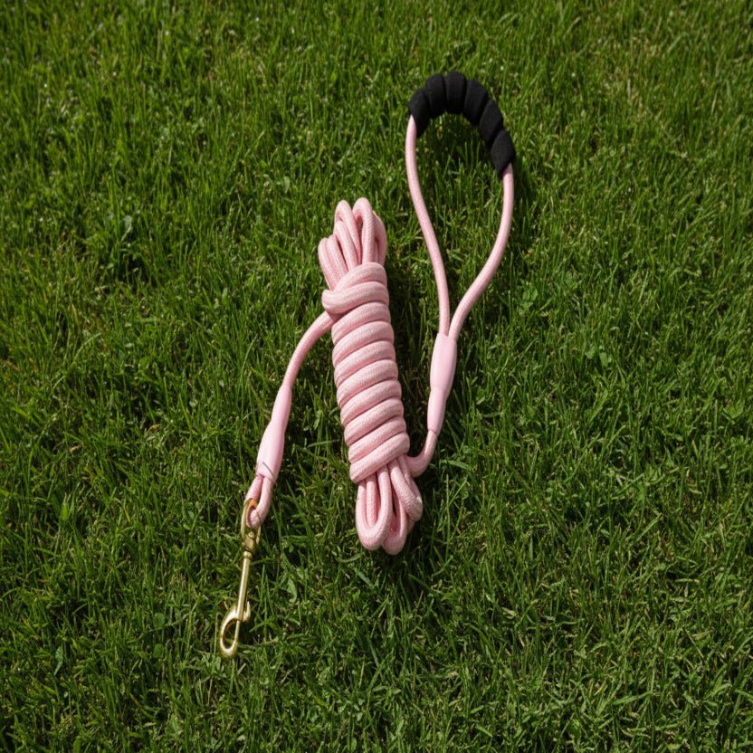 Longe pour chien DogLine™ | Confort, Sécurité & Liberté - Joyeux chien