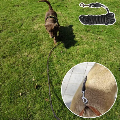 Longe pour chien en nylon poignée rembourrée - Joyeux chien