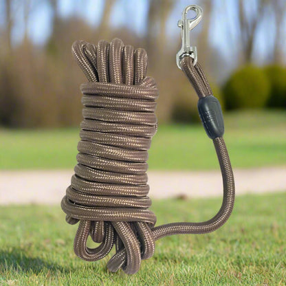 Longe pour chien en nylon poignée rembourrée - Joyeux chien