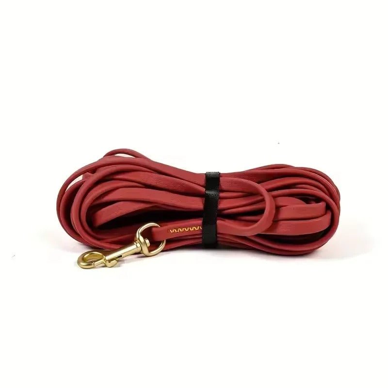 Longue Laisse pour Chien Robuste et Confortable - Joyeux chien