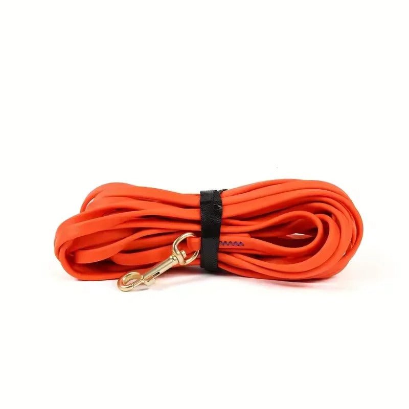 Longue Laisse pour Chien Robuste et Confortable - Joyeux chien